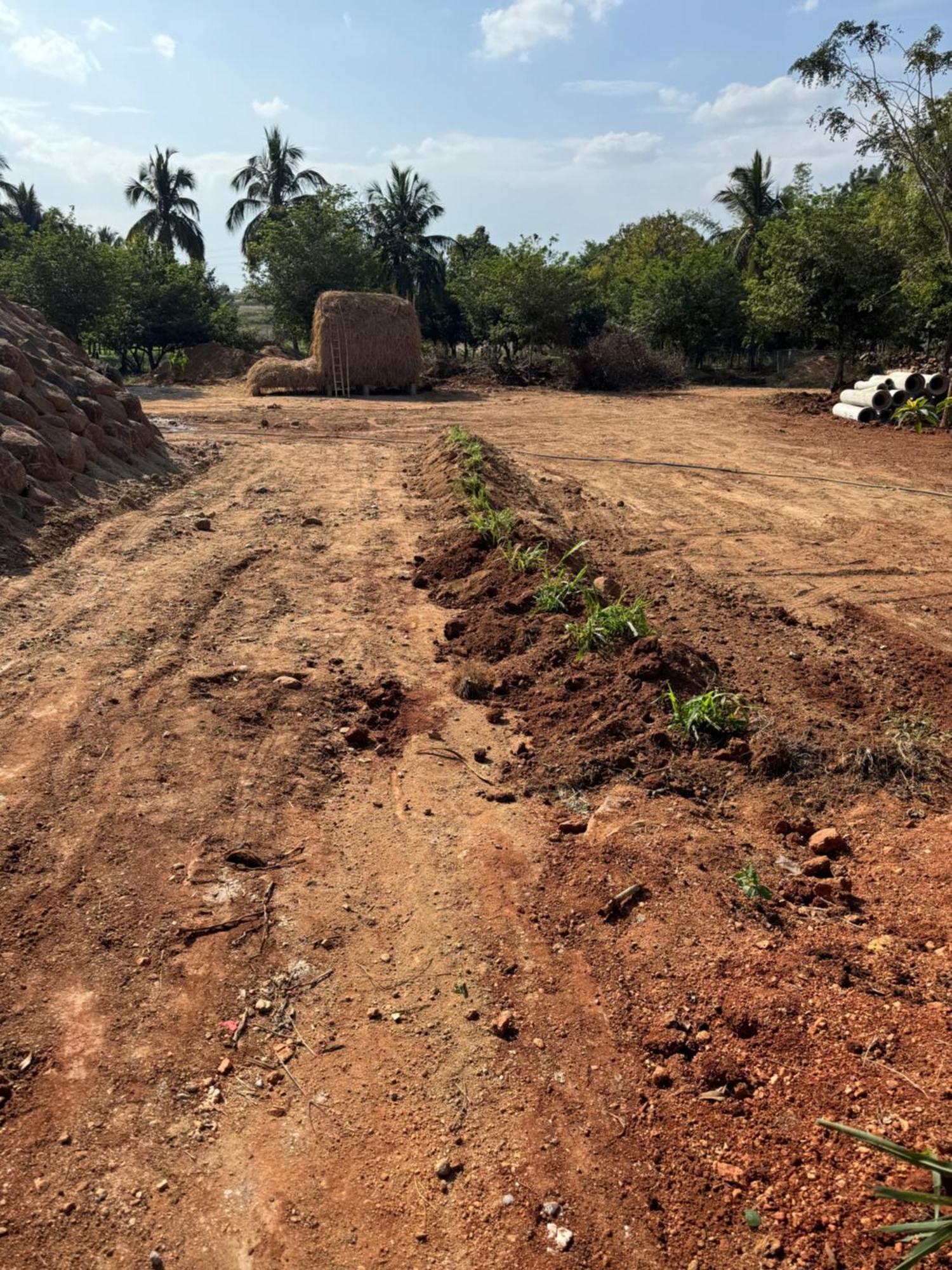 Chikoo Farm Inn Bangalore Eksteriør billede